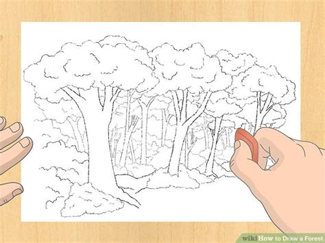 3 Ways to Draw a Forest .